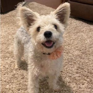 Meet your Posher, Megan